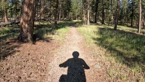 View from the front of a mountain bike riding along a gravel path through a Stock Footage 323539037