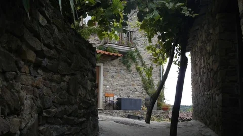 View of the front of the stone house with grapes, a door and a stool. Video stock 80248827