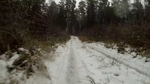View  from the front of terrain car, driving in the woods at winter Vidéo 122348210