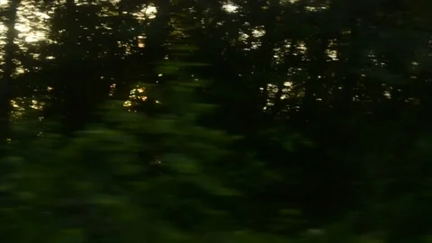 View from a front window of a cross over going across country through the forest 動画素材 89022410