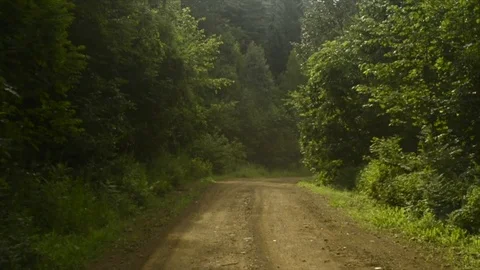 View from a front window of a cross over going across country through the forest Video stock 89022424