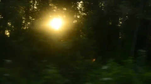 View from a front window of a cross over going across country through the forest 動画素材 89022969