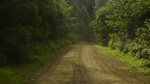 View from a front window of a cross over going across country through the forest 動画素材 89023065