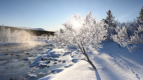View of frost-covered trees along a river in Grovelsjon, Sweden. Stock Footage 339916714
