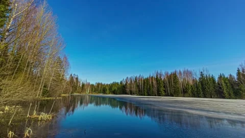 View of a frozen lake in a forest in Riga, Latvia. Video stock 341454229