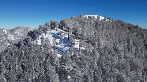 View of frozen trees in the forest. Mountain landscape on a winter day. Stock Footage 270208832