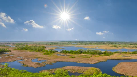 View ftom above to quiet river flow through a forest Stock Footage 220558043