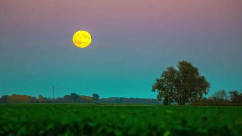 View of full moon over a field in Latvia. Video stock 340637969