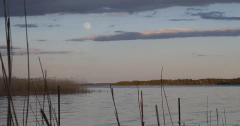 View on full moon over the sea trough sea grass Stock Footage 129854311