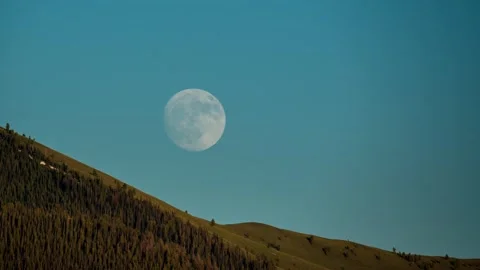 View of full moon rising over a pine-covered hillside, United States. Stock-Footage 344411791