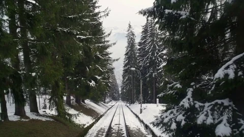 View from the funicular of rail tracks, snow and firs. Stock Footage