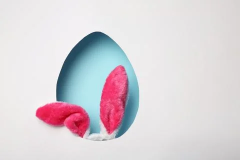 View of furry Easter bunny ears on color background through egg shaped hole,  Stock Photos