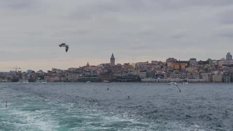 View of Galata Tower and Istanbul Skyline from Ferry with Seagulls Flying Video stock 287989422