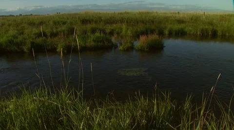 View of Gallatin River Stock Footage 55326369