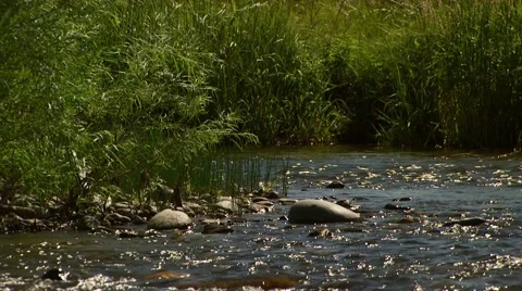View of Gallatin River Video stock 55333135