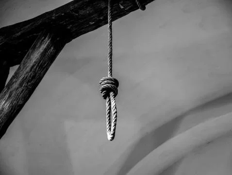 View on a gallows tree Foto stock