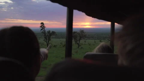View from game drive vehicle during sunset Video stock 147009918
