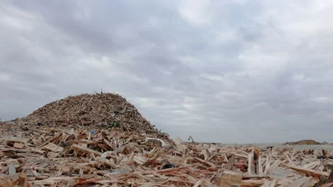View of a garbage dump with piled scraps of wood. Excavator Stock Footage 145791376