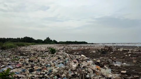 View of Garbage Pollution on the Beach Stock Footage 230700652