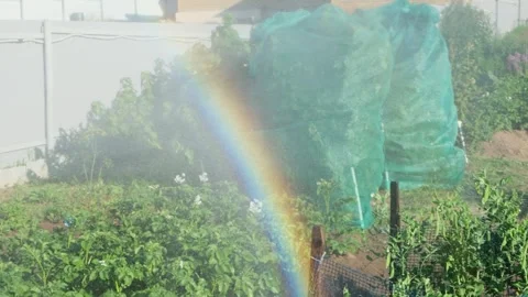 View of the garden and the rainbow created with the help of water and sunlight Stock Footage 279805533