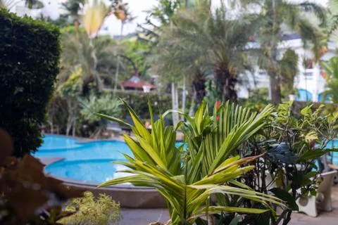 View of garden and swimming pool from a balcony at a asian tropical resort Stock Photos