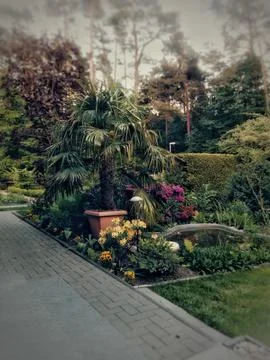 View of Garden and Yard from a Window 库存照片