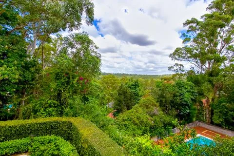 View from the garden to a forest Stock Photos