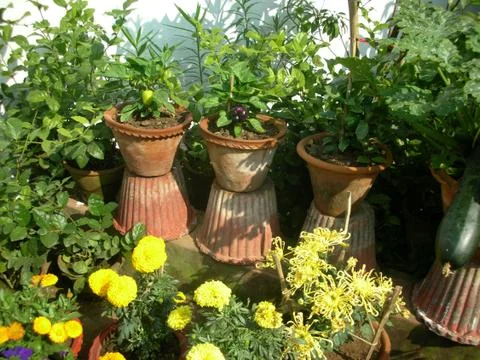 View of a garden Stock Photos