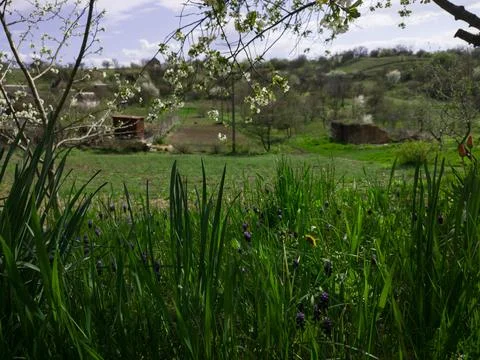 View of the garden Stock Photos