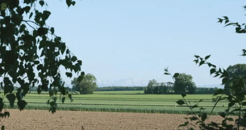 View from the garden threw the trees to the Mountains Alps Bavaria at Midday 4K Stock Footage 310577146