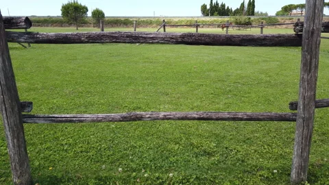 View of a garden through a fence Video stock 131548075