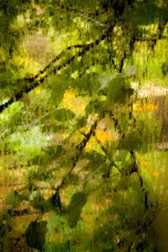 View of the garden through the misted window Stock Photos