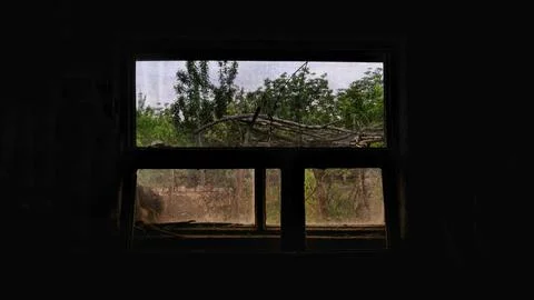View of the garden from the window. Stock Photos