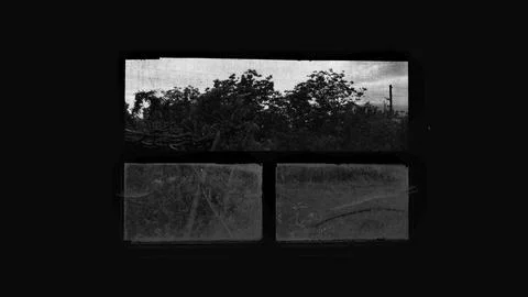 View of the garden from the window. Stock Photos