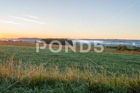 View of the Gaume prairies Stock Photos