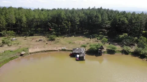 View of Gazebo in lake and pine trees. Sukabumi, Indonesia Stock Footage 245959025