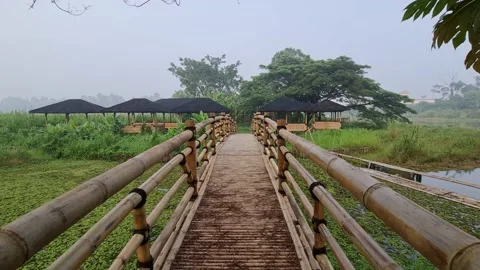 View of the gazebo through bamboo bridge Video stock 159439249
