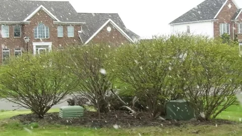 View of gentle snow fall Stock Footage 233270520