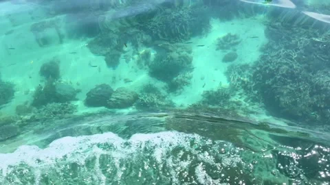 View gently moving sea water from the fishing boat. Stock Footage 241871763