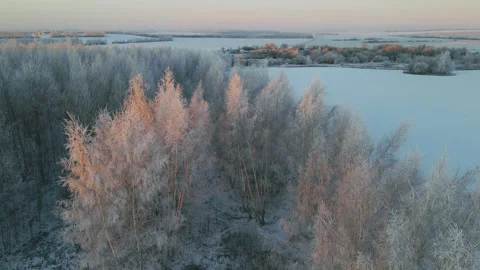 View of the geometry of the forest landscape from above Stock Footage 260811290