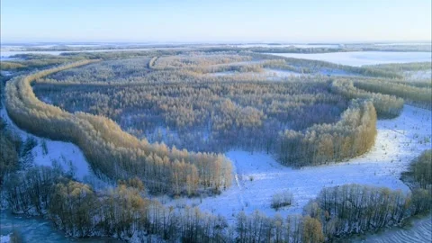 View of the geometry of the forest landscape from above Stock Footage 260811307
