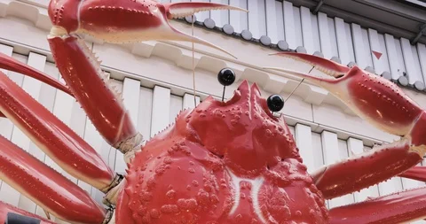 View of giant crab billboard on facade of Kani Doraku, Japan's famous crab Stock Footage 127614295