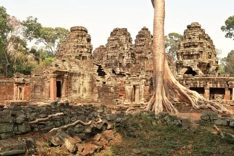 View onto a giant tree growing in front of the towers of the Banteay Kdei T.. Foto stock