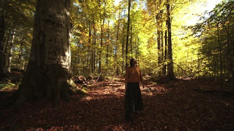 The view of girl's back walking along the majestic ancient trees and turning Stock Footage 204051907