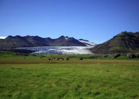 View of the glacier Stock Photos