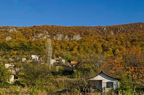 View of glade, hill, forest with deciduous trees and residential district Stock Photos