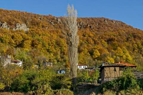 View of glade, hill, forest with deciduous trees and residential district Stock Photos