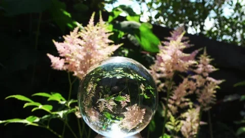 View on glasbol in the garden Video stock 156550462