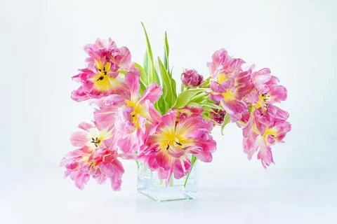 View of a glass rectangular vase with a bouquet of pink tulips on a white bac Foto stock