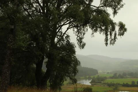 View of Glen Affric from Eagle Brae Stock Photos
